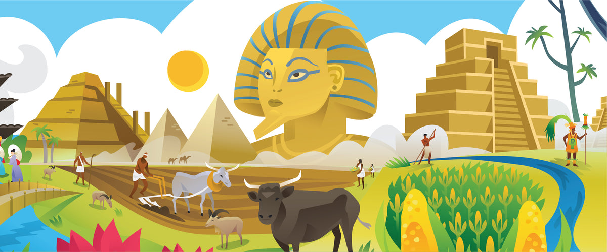 Amplify CKLA Amplify Education